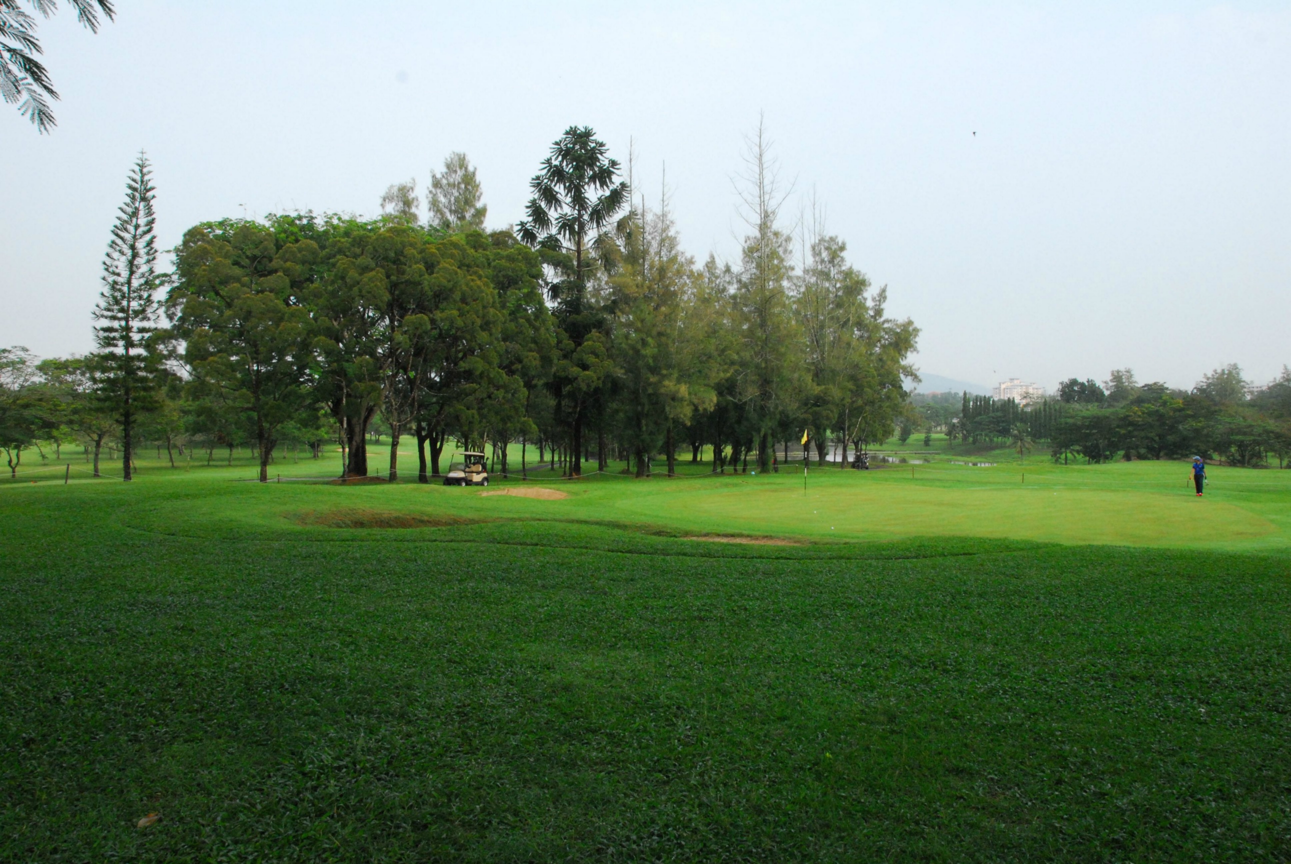 PRO15 157 GOLF DSC 0244.JPG